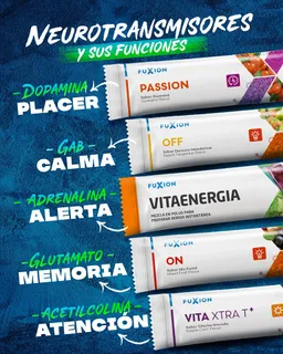 Producto 4